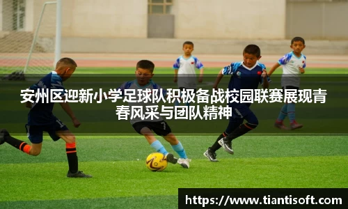 im电竞平台官网